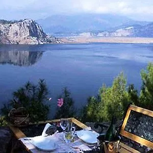 book here